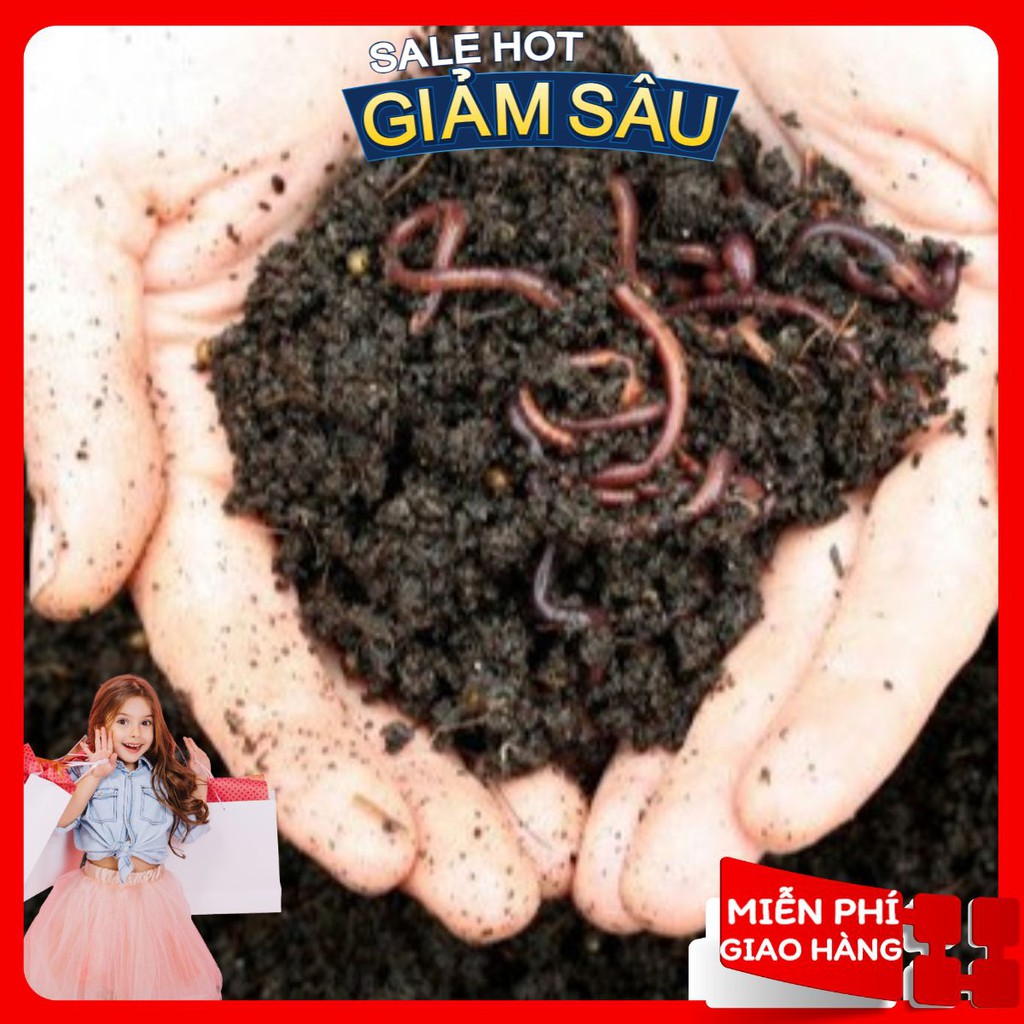 Phân Trùn Quế Nguyên Chất Giàu Dinh Dưỡng - Gói 500 Gram ( Hàng Loại 1 ) ( Hàng Loại 1 )