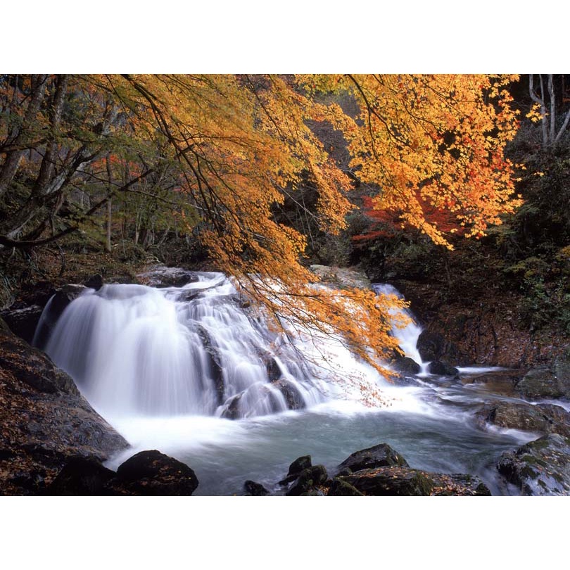 Tranh 3d thác nước chảy trong lành