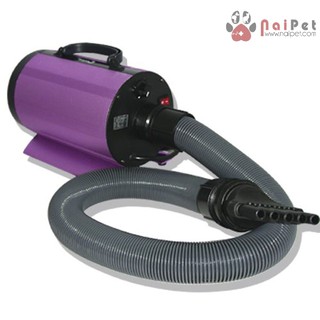 Codos cp 160 máy sấy lông chó mèo 1600w
