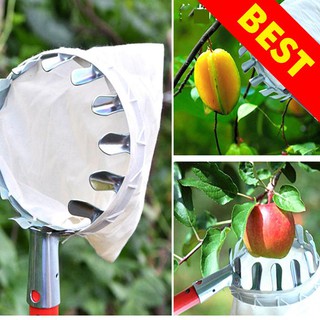 Dụng cụ hái hoa quả - Đầu sào hái quả thông minh