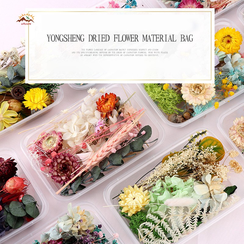 Hoa Ép Khô Dùng Trang Trí DIY