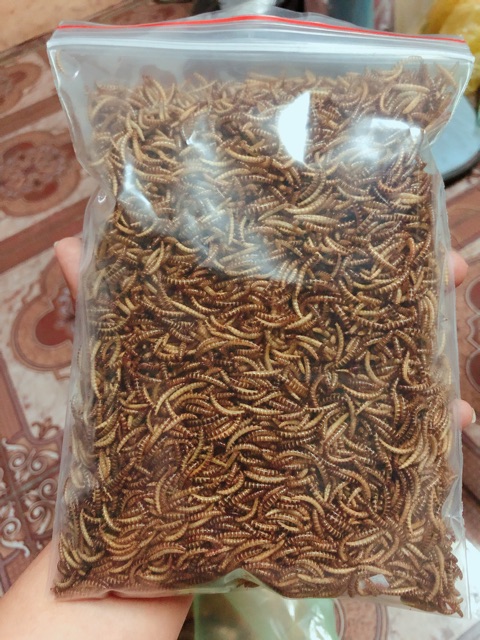 Sâu gạo sấy - Gói 500g. Sâu gạo cho thú nuôi.