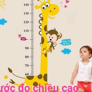Thước đo chiều cao