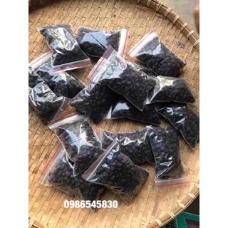 Hạt rổi chuẩn rừng tây bắc