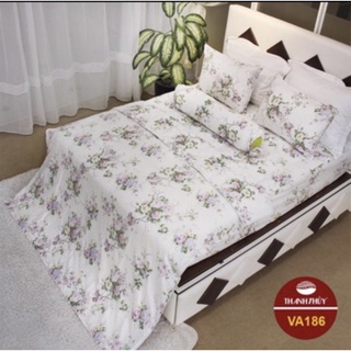 Bộ drap hộp (gối 1 lớp )- size m6 - M186
