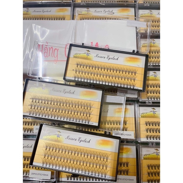 Mi Chùm vàng 10D -20D