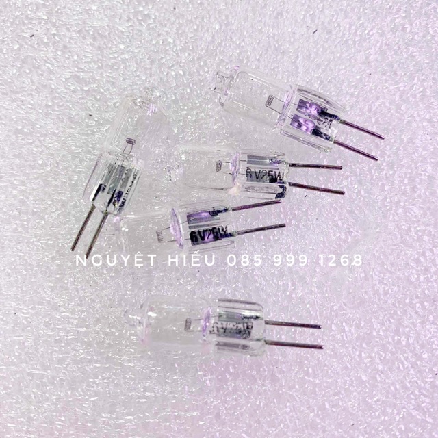10 bóng đèn halogen sợi đốt 6V-25W