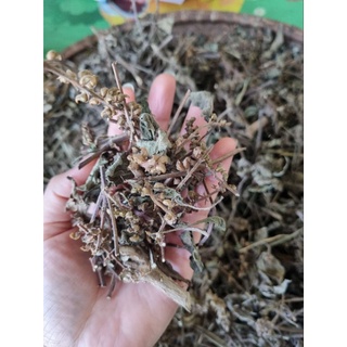 Lá xông sản phụ