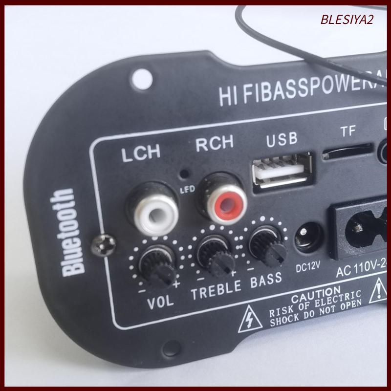 Bảng Mạch Khuếch Đại Tín Hiệu Radio TF / USB Blesiya2