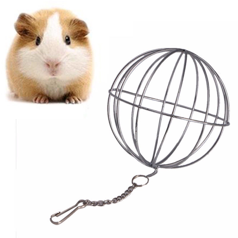 Khay Đựng Thức Ăn Hình Cầu Bằng Thép Không Gỉ