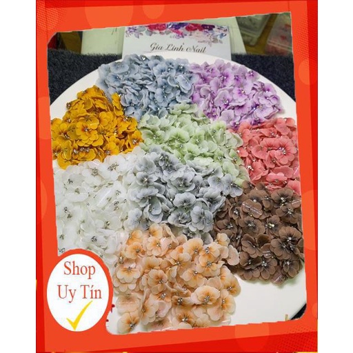 Hoa bột nail gắn móng tay | Hoa nửa ( set 10 bông )