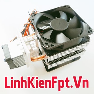 Tản Nhiệt Sò Nóng Lạnh - Làm Tủ Lạnh Mini