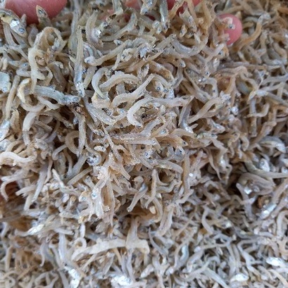 Cá Cơm Ngần Ngon Như Hình