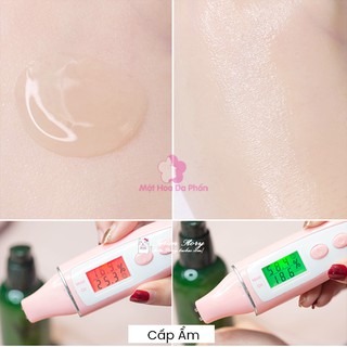 Set Dưỡng Da Innisfree Green Tea Special Kit Ex (4 Món)