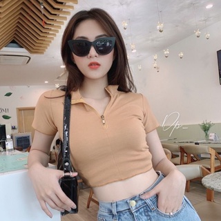 ÁO THUN DÂY KÉO CROPTOP