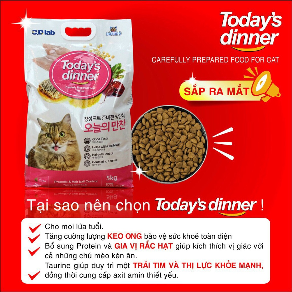 Hạt Today's Dinner cho mèo mọi lứa tuổi