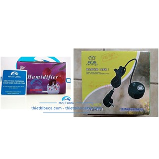 Máy tạo khói, cung cấp khói trang trí bể cá. Đèn led tạo sương khói cho tiểu cảnh hòn non bộ