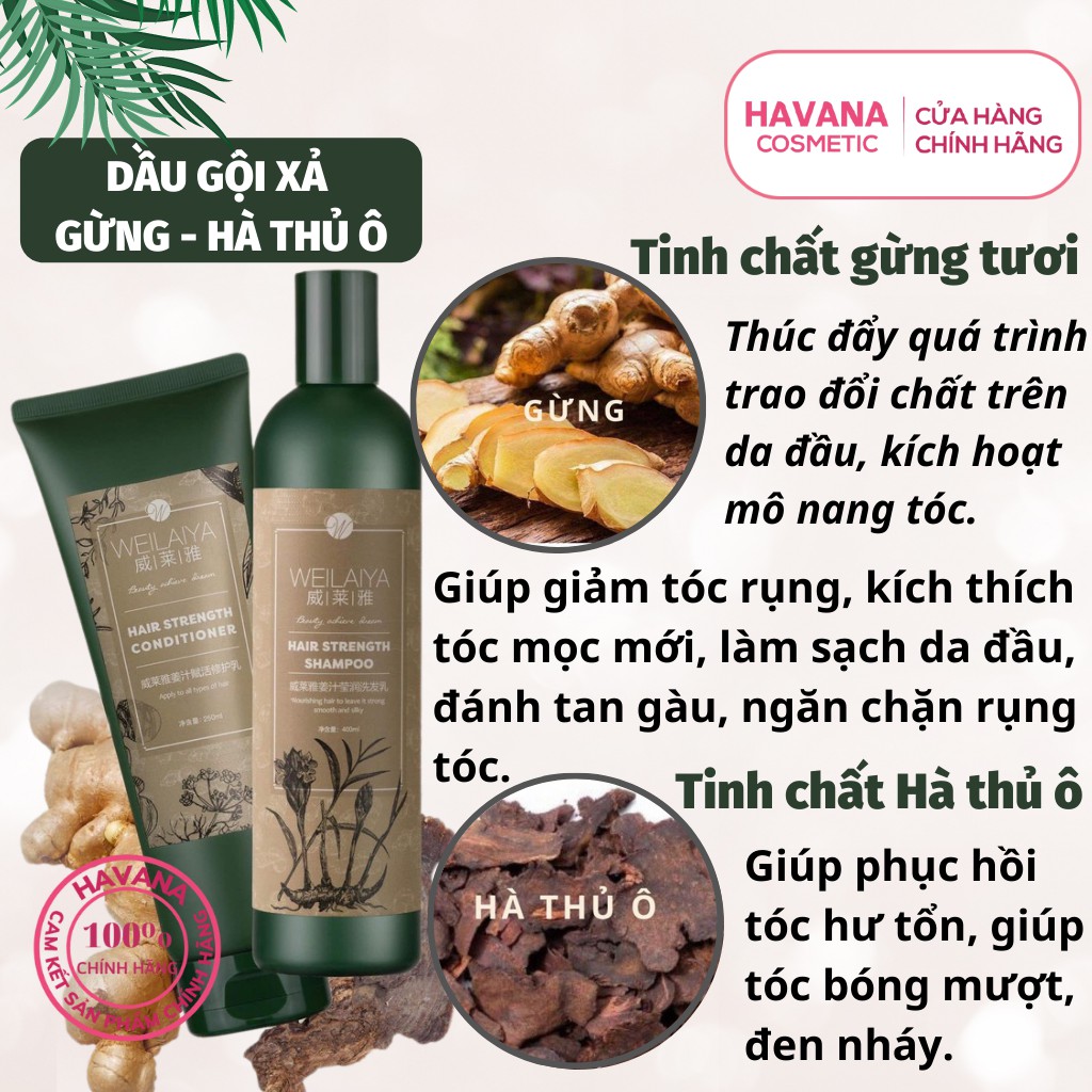 Bộ dầu gội xả gừng Weilaiya chính hãng giảm rụng tóc kích thích mọc tóc - Shop Havana