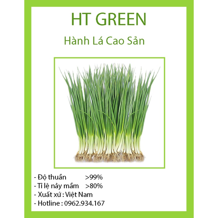 Hạt Giống Hành Lá Cao Sản Dễ Trồng, Thơm Ngon 1gr