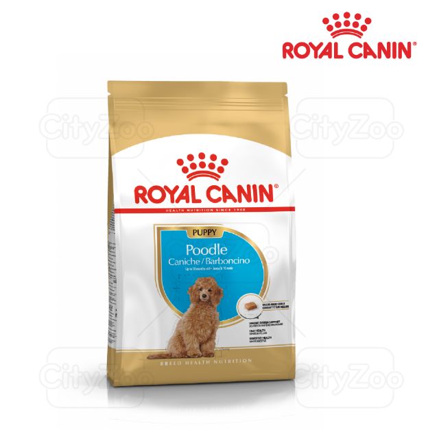 Thức ăn hạt Royal Canin Poodle Puppy 500g