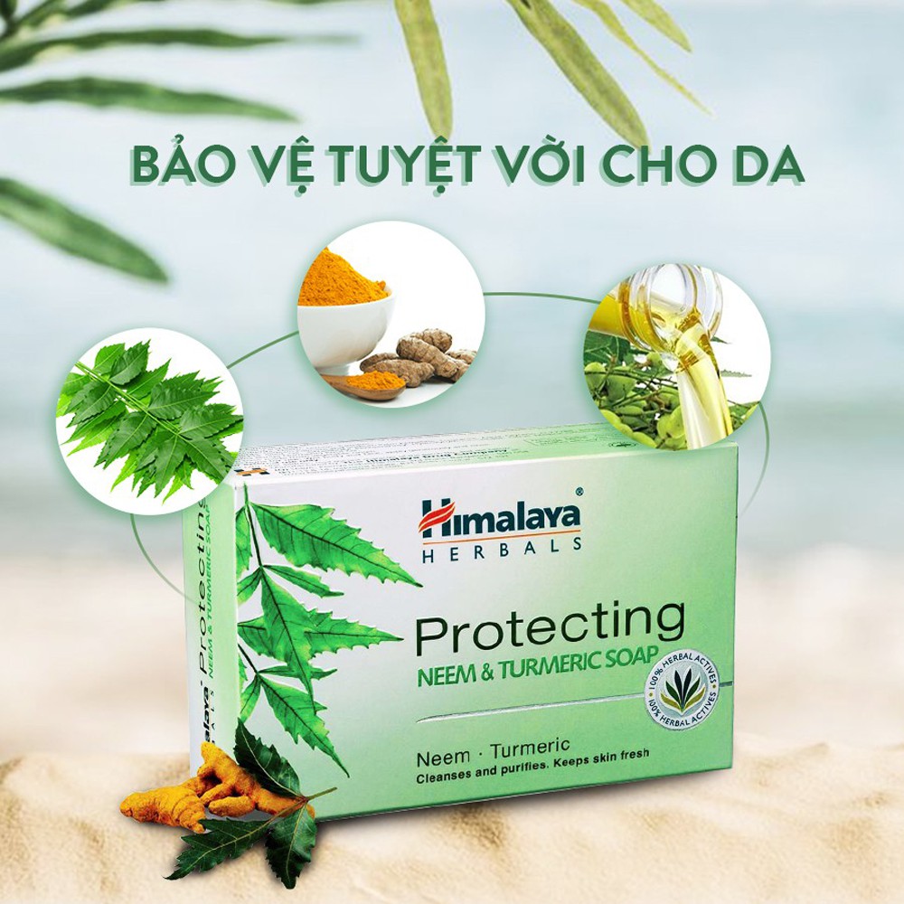 Xà phòng giảm mụn lưng Himalaya neem và nghệ tây 75g