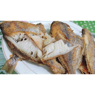 Cá Đội Đèn - Hải Sản Hạ Long