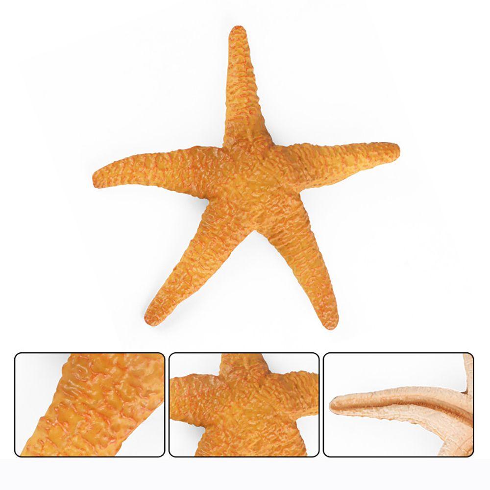 UPSTOP Mô Hình Sao Biển Đồ Chơi Giáo Dục Sớm Cho Bé
