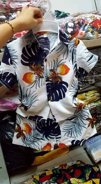 Bộ lanh lụa hoa quả -3d