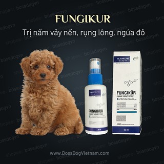 Thuốc trị nấm ngứa vảy nến rụng lông Alkin Fungikur - mọi dòng chó poodle thumbnail