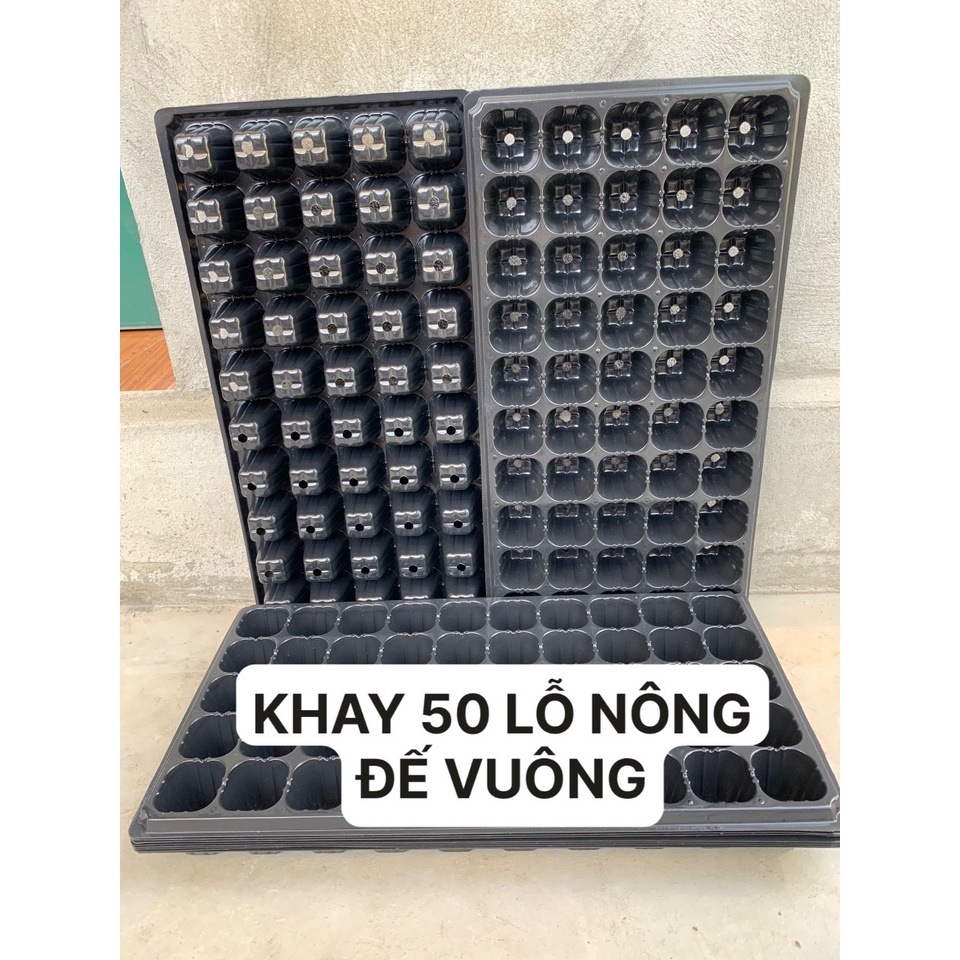 10 KHAY ƯƠM 50 LỖ NÔNG ĐẾ VUÔNG ( BẠT CHỐNG CỎ, LƯỚI CHỐNG NẮNG, DỊCH TRUYỀN CHO CÂY...)