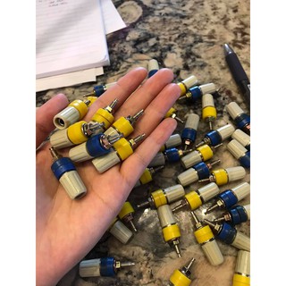 Cọc loa bãi Hàn Quốc vàng xanh