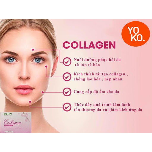 [Da Đẹp - Trẻ Trung] Nước Uống Collagen Quý Phái Sáng Hồng Da Bạch Mai 200ml YoKo Pharma | BigBuy360 - bigbuy360.vn