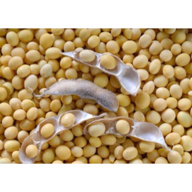 1kg Đậu tương( đậu nành)