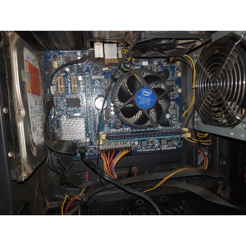 Cây máy tính văn phòng | BigBuy360 - bigbuy360.vn