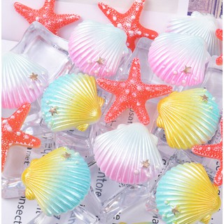 C60 charm vỏ sò ombre charm sao biển nguyên liệu làm thủ công handmade ốp lưng handmade