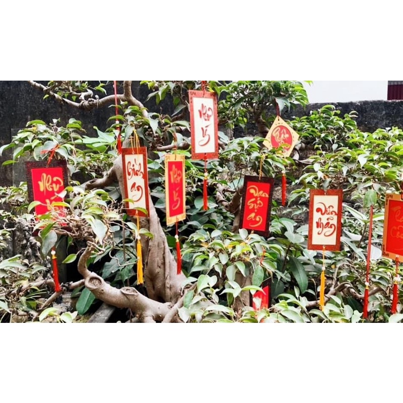 Biểu/liễn thư pháp treo viết chữ theo yêu cầu