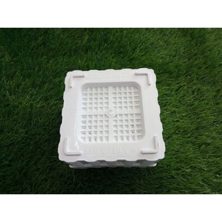 Chậu nhựa hàng rào (11 x 11 x 9 cm)