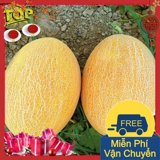 Combo 2 Gói Hạt Giống Dưa Lưới Vàng F1