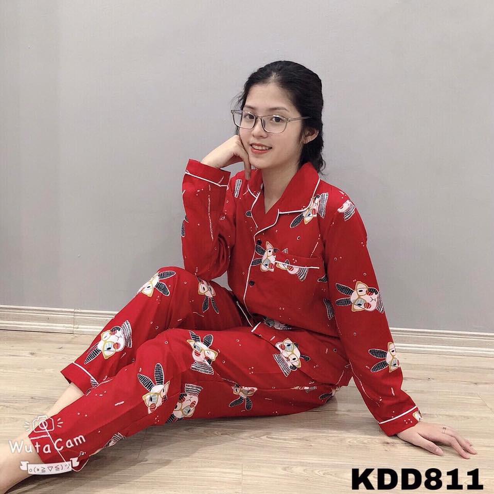 Đồ bộ pijama dài tay nữ - Set pizama hoạt hình dễ thương ulzzang mặc ở nhà đồ ngủ HOT | BigBuy360 - bigbuy360.vn