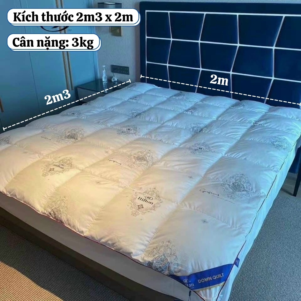 Ruột chăn bông lông vũ hilton, Ruột chăn khách sạn Hilton cao cấp nhập khẩu Hàn Quốc - Otama Bedding