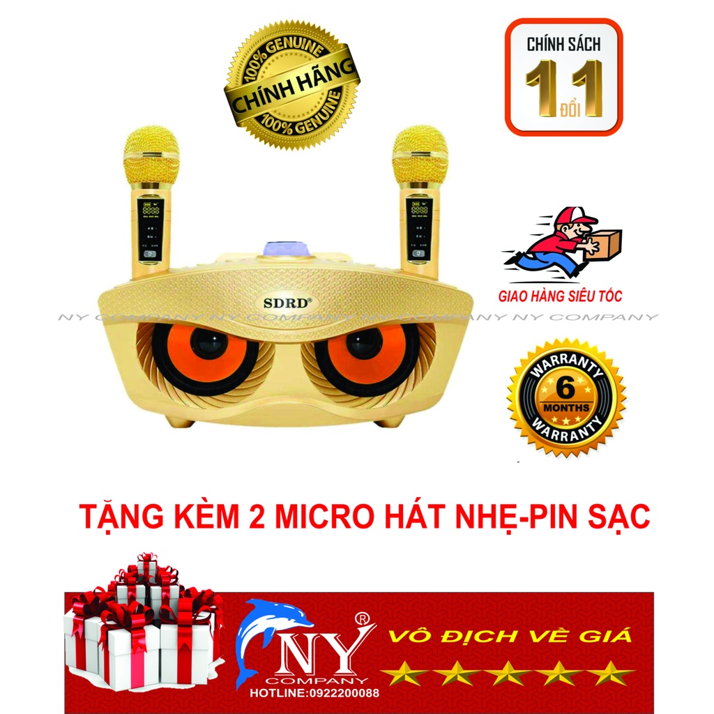 Loa karaoke bluetooth SDRD SD-306, kèm 2 micro không dây