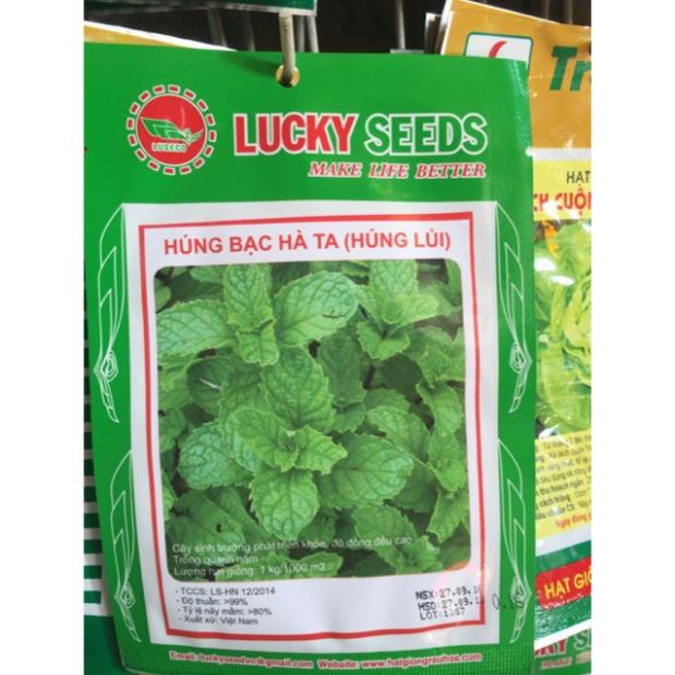 HẠT GIỐNG HÚNG BẠC HÀ GÓI 0,1GRAM