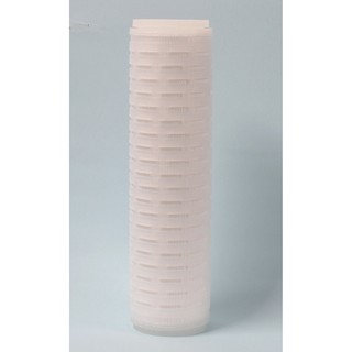 Lõi lọc xác khuẩn 25cm 0,2 micron