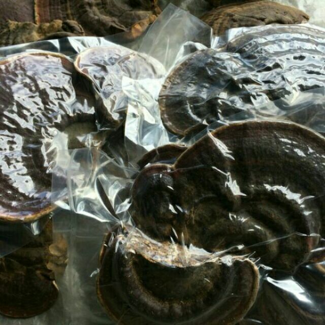 1kg nấm linh chi rừng tự nhiên