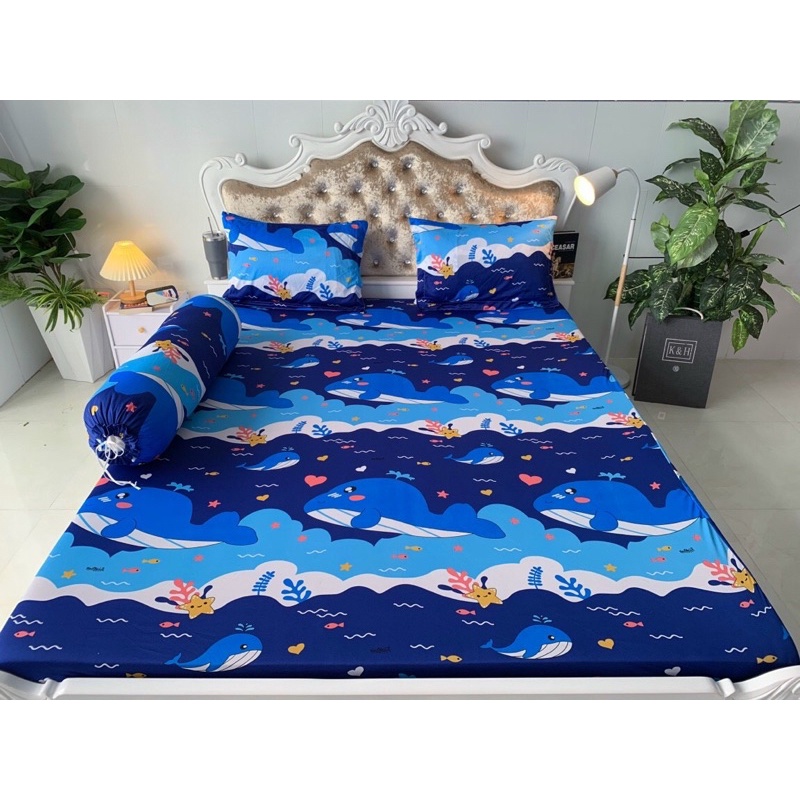 Bộ Drap thun Hàn Quốc mẫu cá voi gồm 6 màu