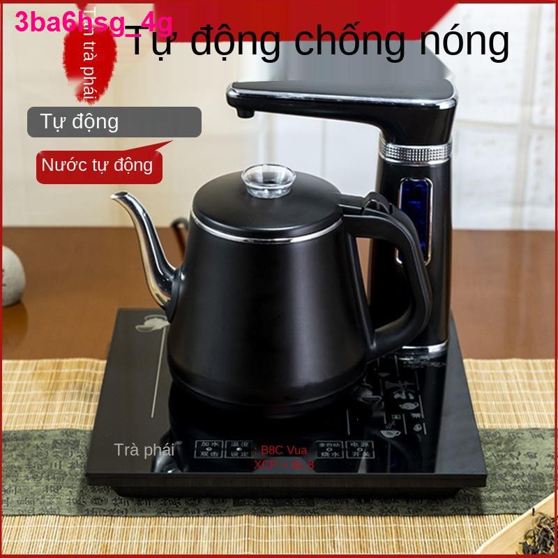 chống đóng cặn tự động Sheung Thủy điện Ấm đun nước gia dụng Bàn trà pha Bộ Bếp
