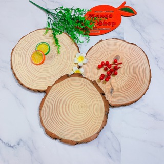 Miếng gỗ tròn size to 20-25cm ( Miếng gỗ decor trang trí chụp ảnh)