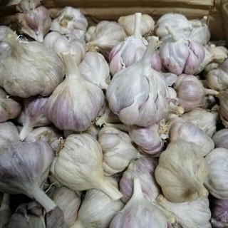 1kg tỏi bắc loại 1