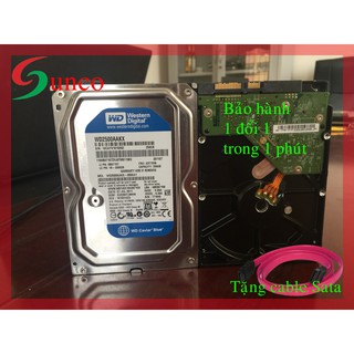 Ổ cứng 250Gb WD Blue tháo máy đồng bộ, mới 99%