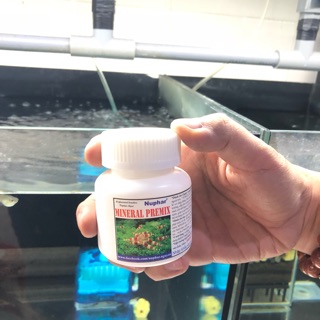 Nuphar Mineral Premix Khoáng Chất Tổng Hợp
